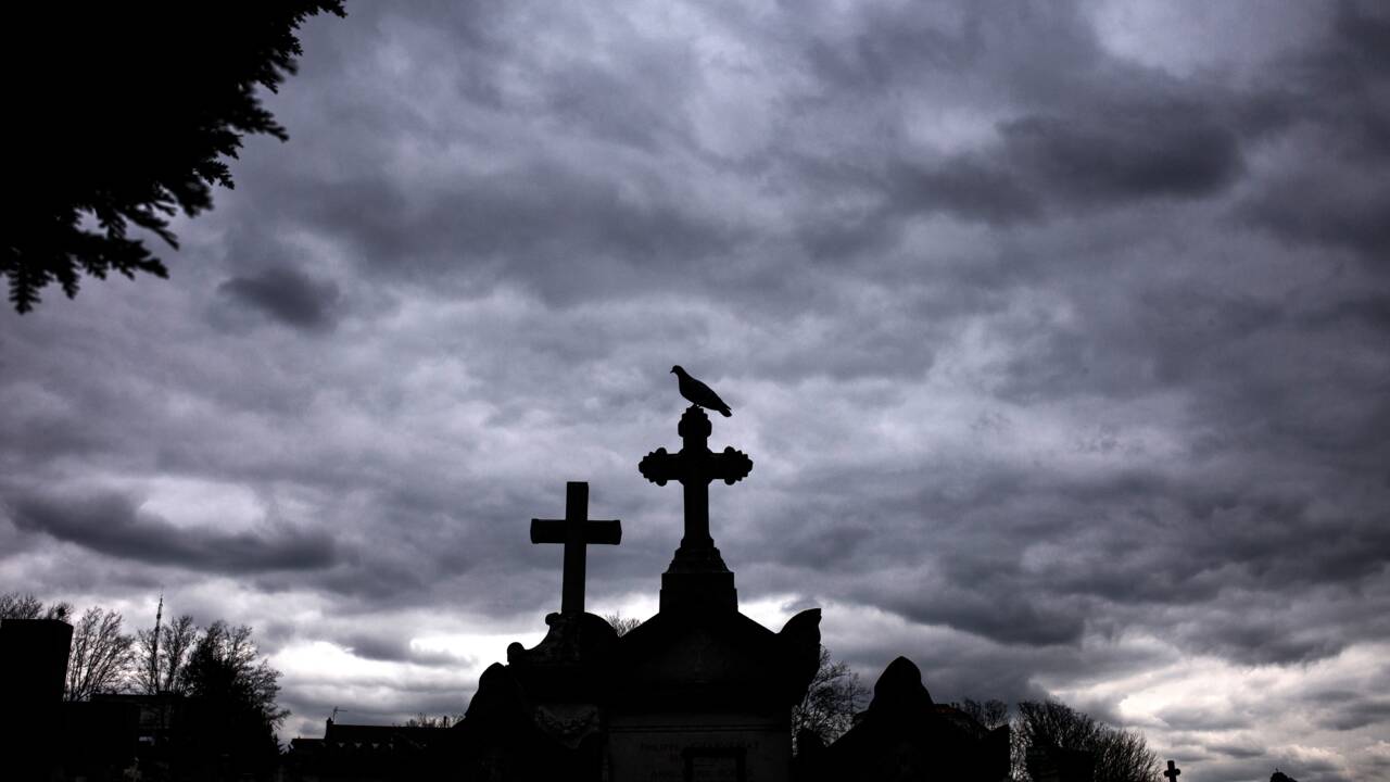 Quand un des plus vieux cimetières devient un refuge pour oiseaux