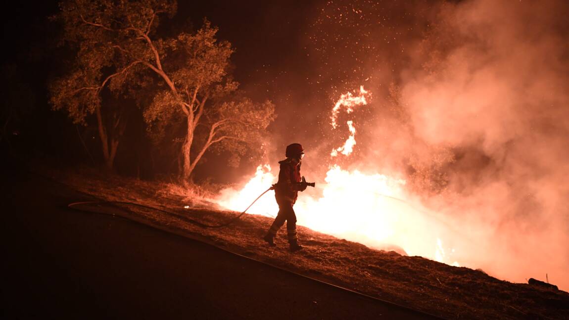 Incendies au Portugal et en Espagne : le bilan s'alourdit à 45 morts