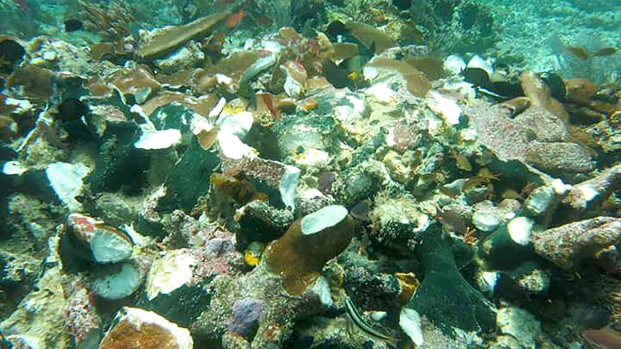 Indonésie: un bateau de croisière percute des récifs coralliens uniques