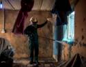 Au Ghana, les moustiques résistent aux insecticides, et compliquent la lutte contre le paludisme