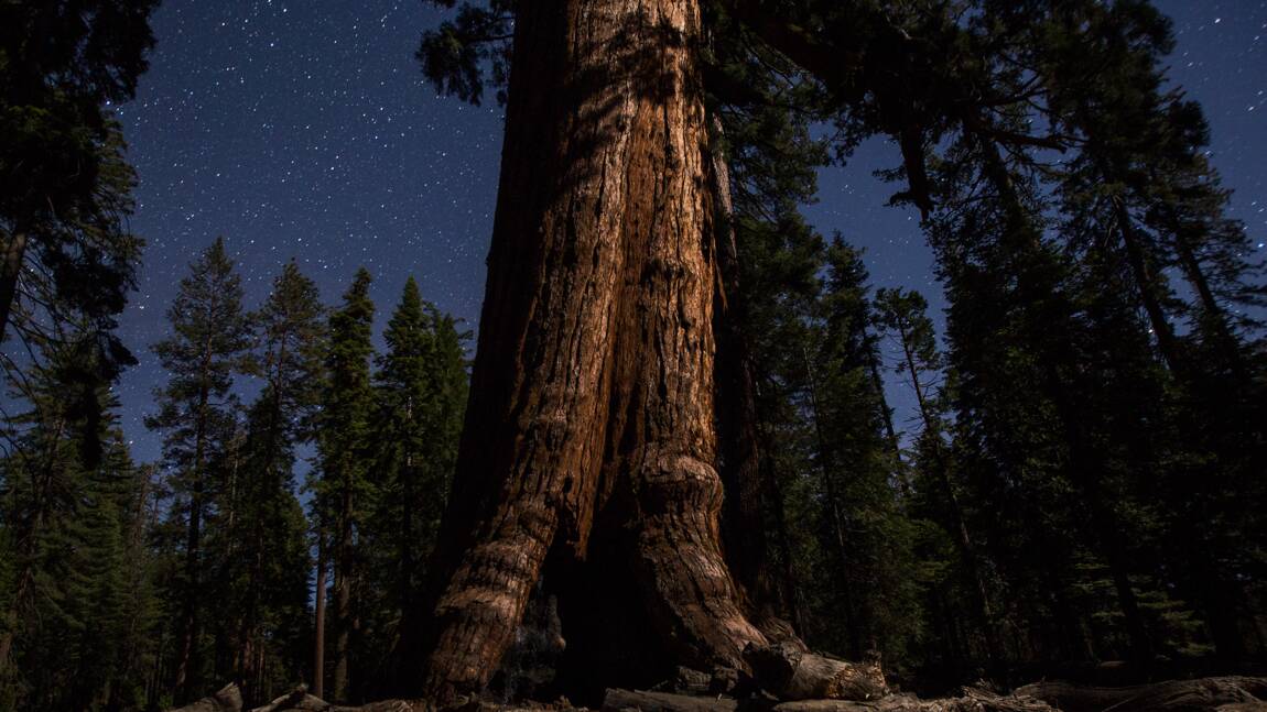 Les géants de Yosemite, à la belle étoile
