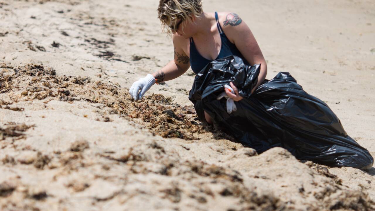 Hong Kong: plus de 2.000 bénévoles nettoient une plage prisée des tortues