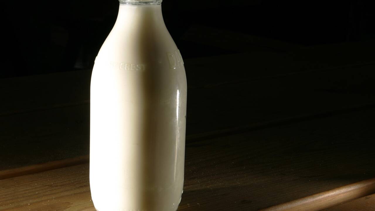 De nouvelles bouteilles de lait, non recyclables, dans les supermarchés