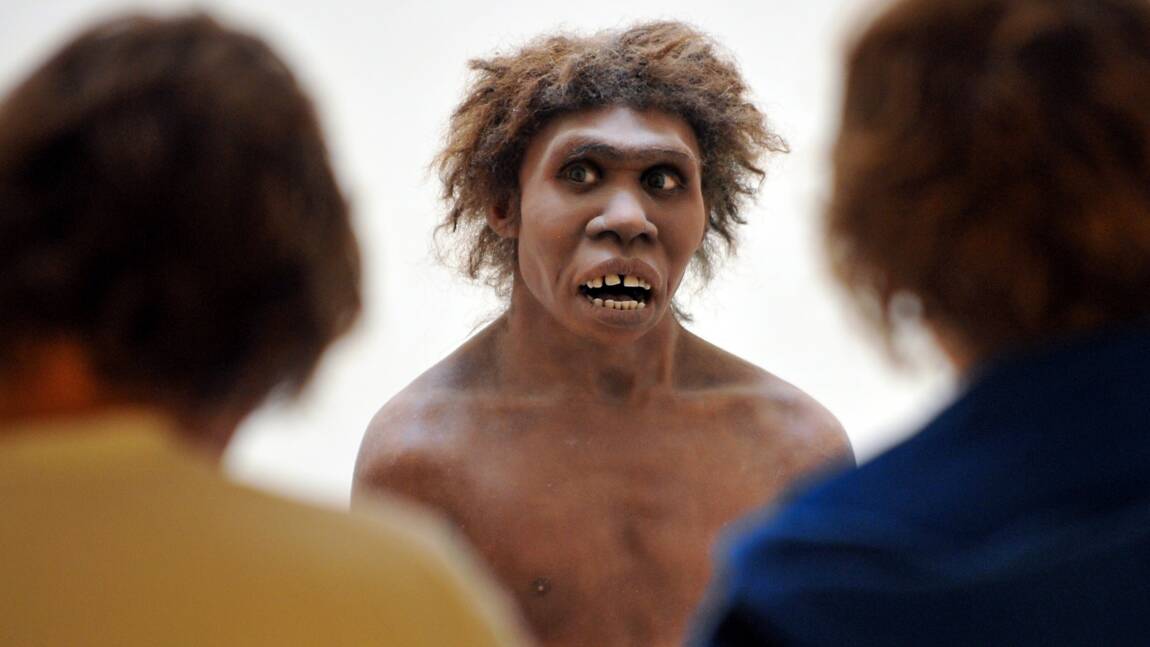 Néandertal: un crâne de 400.000 ans pourrait élucider ses origines
