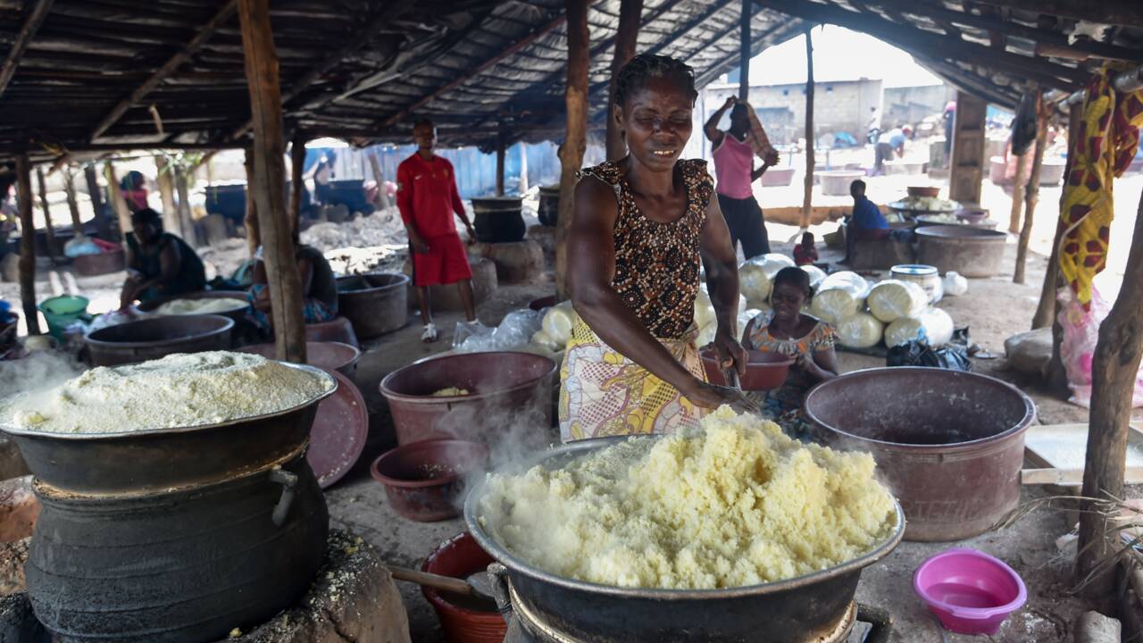 En Afrique de l'Ouest, l'"Ebola du manioc" menace la sécurité alimentaire