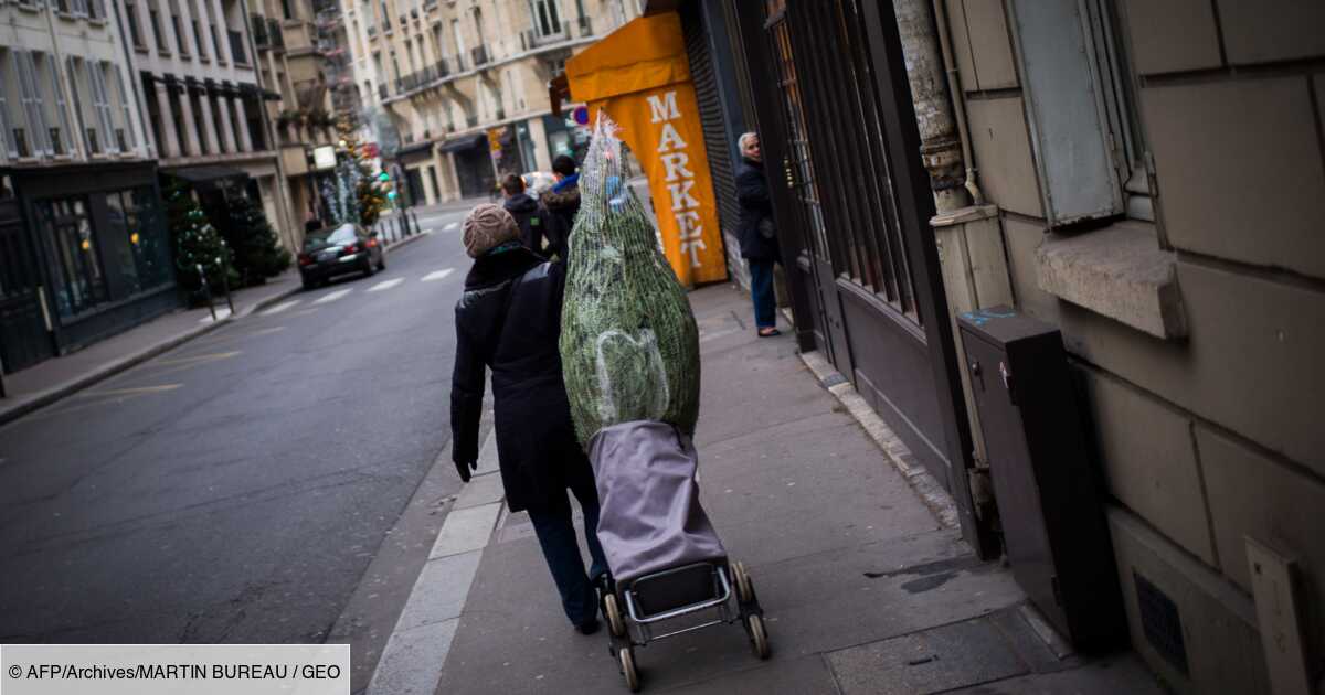 Du Sapin Aux Cadeaux Les Reflexes Pour Un Noel Plus Vert Geo Fr