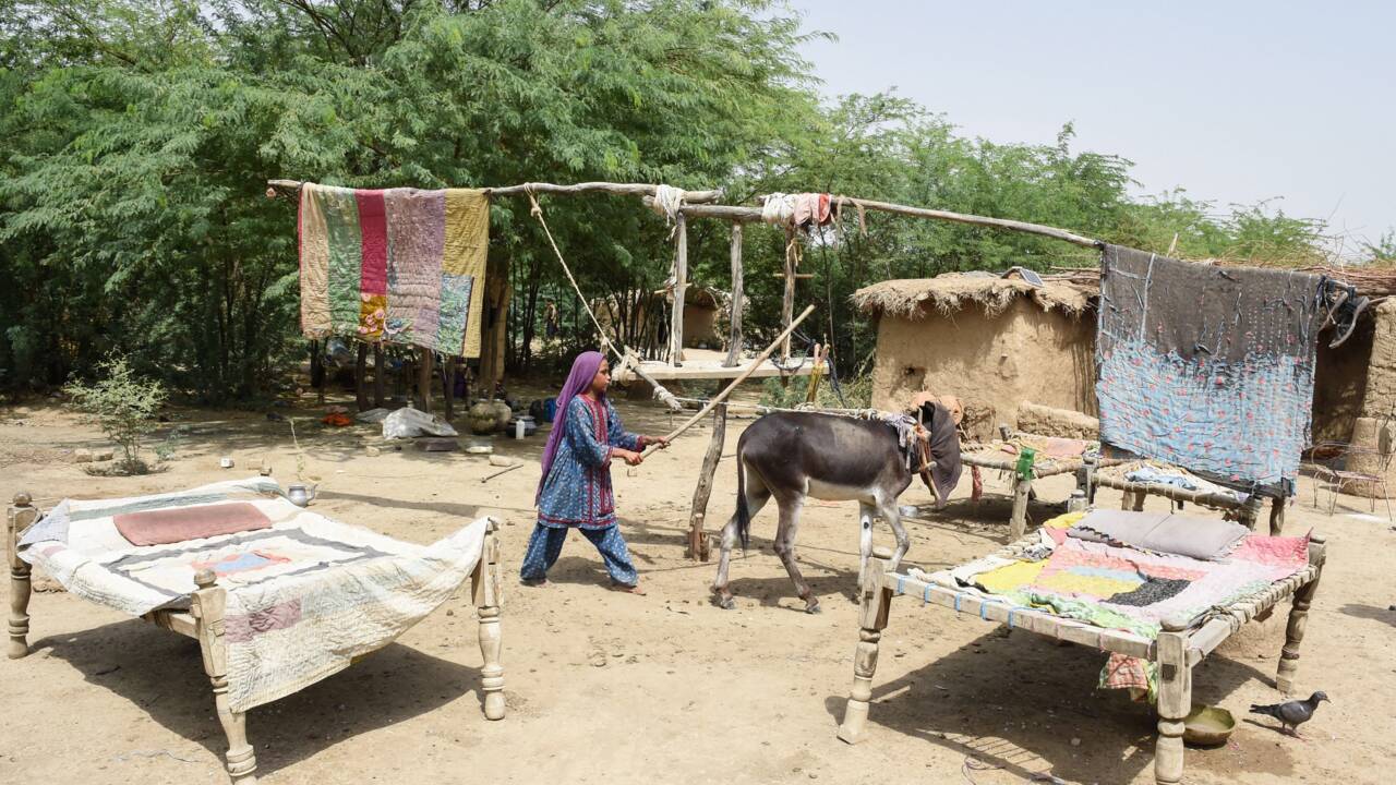 Au Pakistan, des régions entières vulnérables face au réchauffement climatique