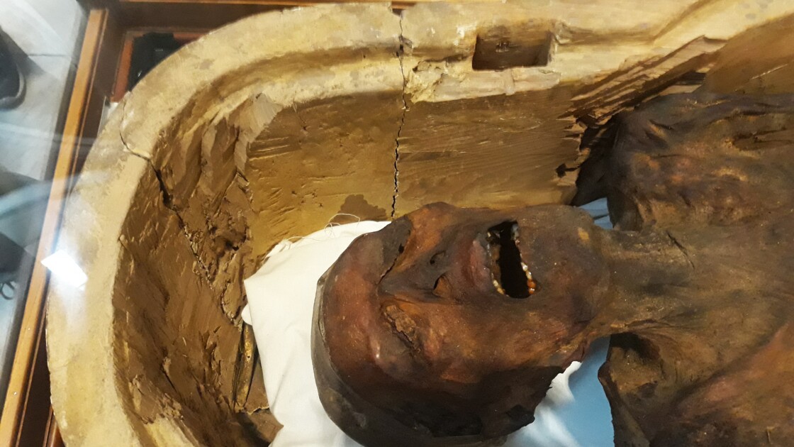 musee du caire salle des momies