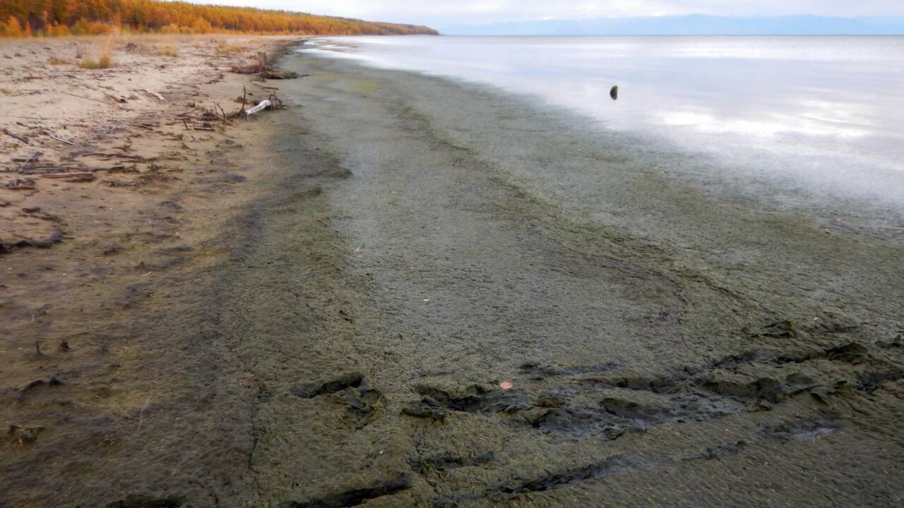 Le lac Baïkal est en danger