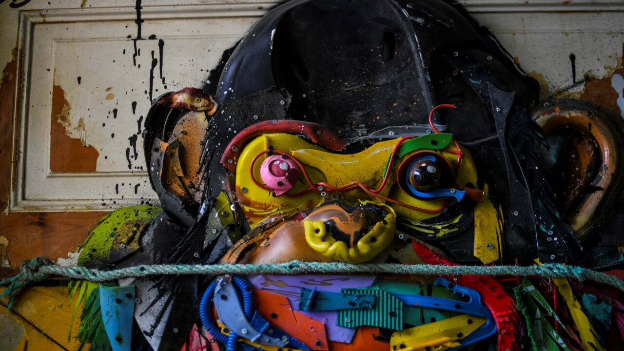 Bordalo II, artiste engagé qui transforme les déchets en art