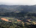 Difficile débat autour du projet aurifère Montagne d'or en Guyane