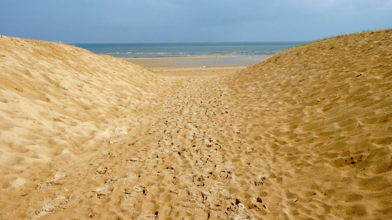 Éolien en mer: rejet d'un recours contre un parc au large des plages du Débarquement