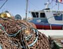 Le contrôle des pêches est insuffisant dans l'UE
