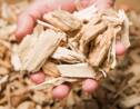 Biomasse : une source d’énergie propre et précieuse