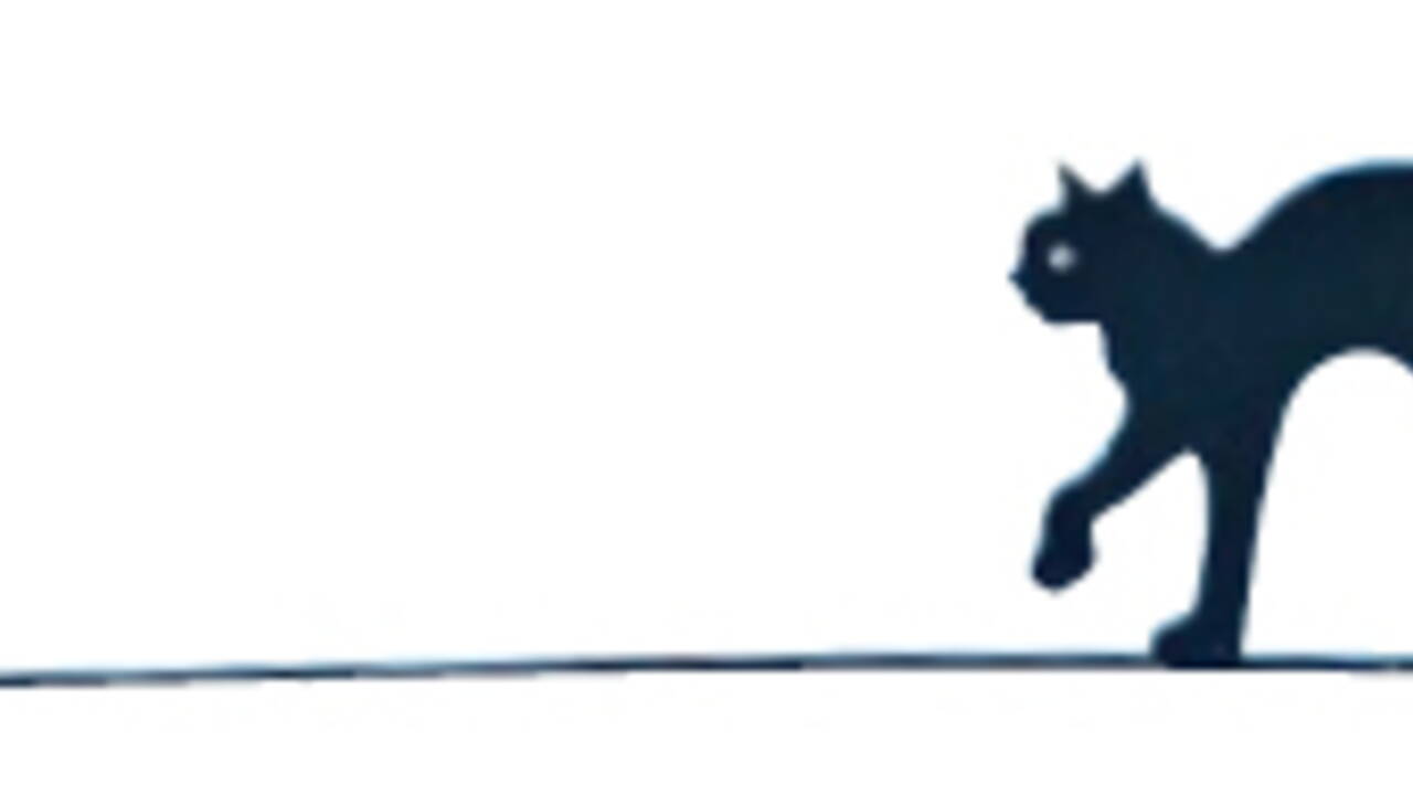 Le Chat Ne Nous Appartient Pas C Est Nous Qui Lui Appartenons Geo Fr