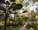 Un immense jardin japonais à Maulévrier dans le Maine et Loire