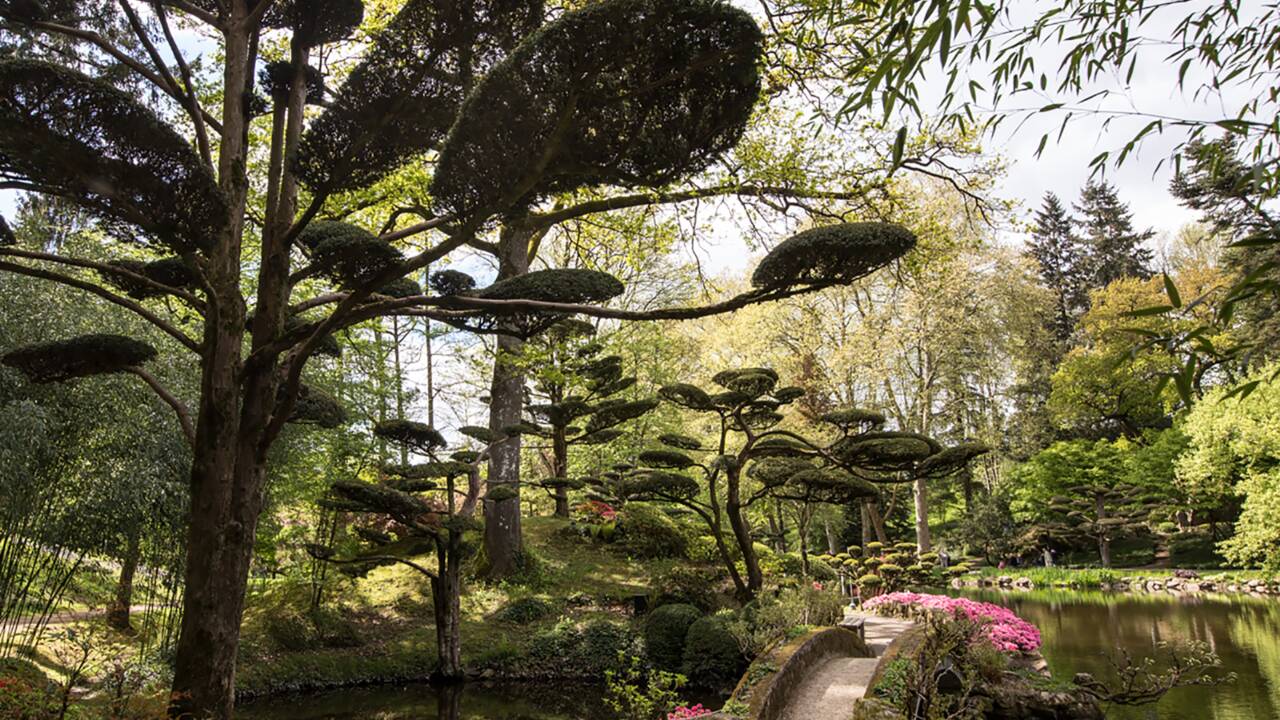 Un immense jardin japonais à Maulévrier dans le Maine et Loire