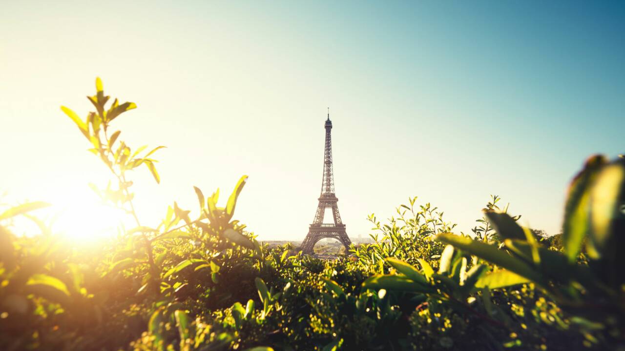 Contre les îlots de chaleur, Paris offre des arbres à ses habitants