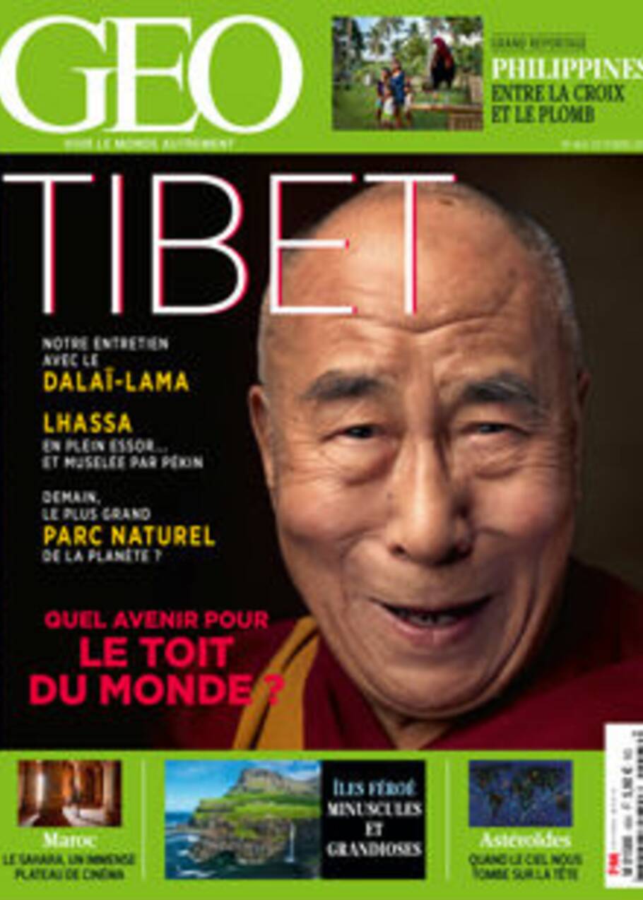 Grandeur et décadence du dogue du Tibet