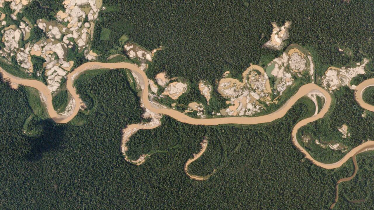 Amérique du Sud : trois lieux touchés par la déforestation