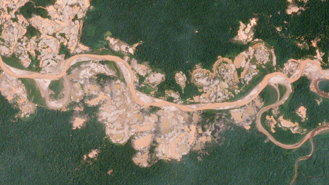 Amérique du Sud : trois lieux touchés par la déforestation