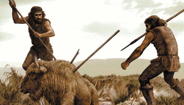 Cro Magnon Un Etre Sans Defense Plutot Un Chasseur Aguerri Geo Fr