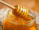 Des apiculteurs découvrent du glyphosate dans leur miel et portent plainte contre Bayer