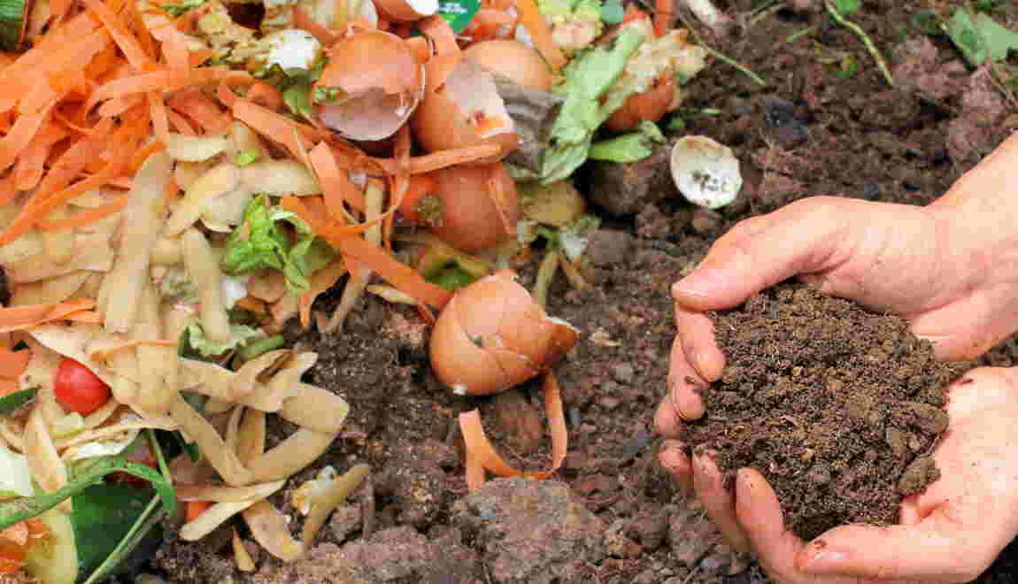 L’amendement organique, le fertilisant de l’agriculture bio Geo.fr — free download