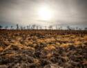 L’Homme empiète sur 75% des sols de la planète : une menace pour la terre nourricière