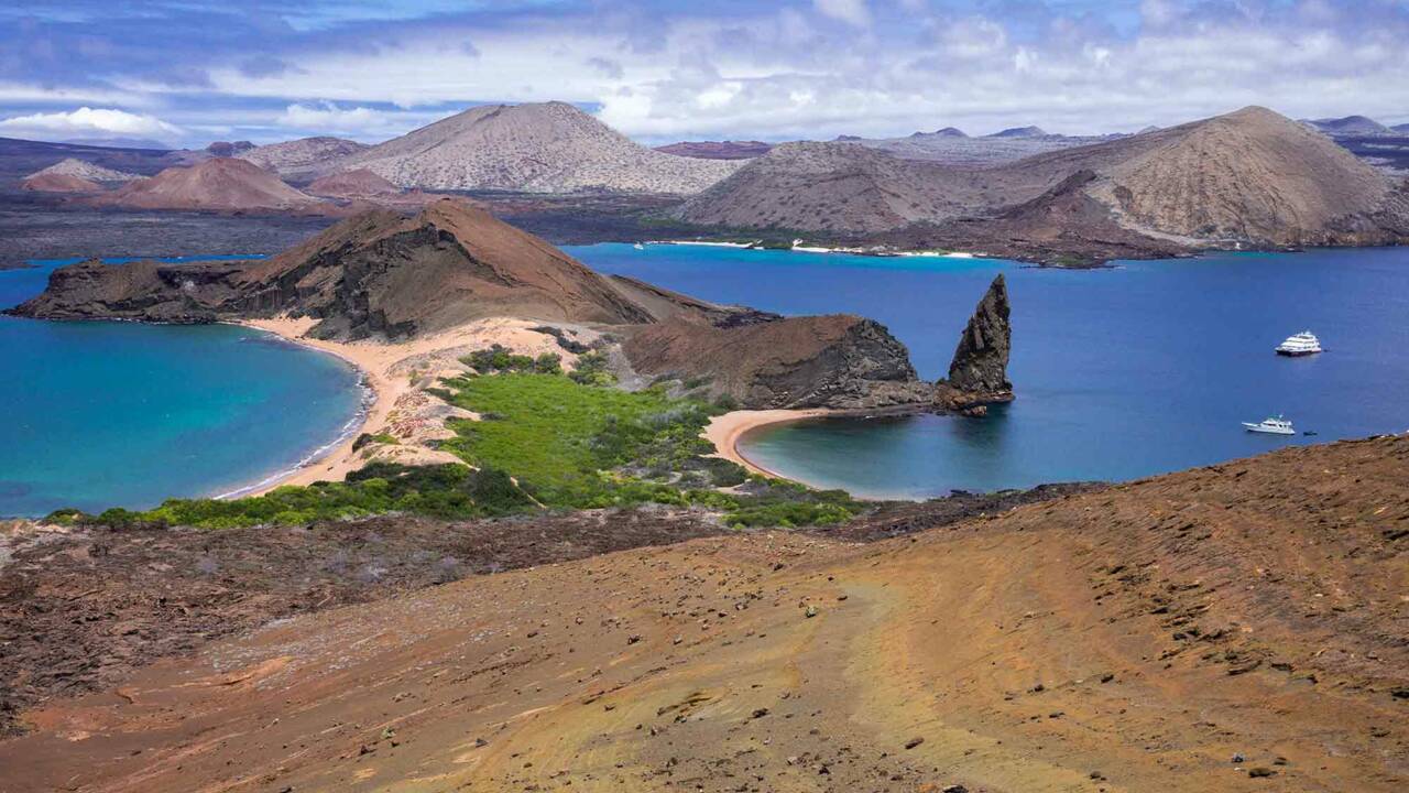 Galápagos : comment sauver l’archipel équatorien ?