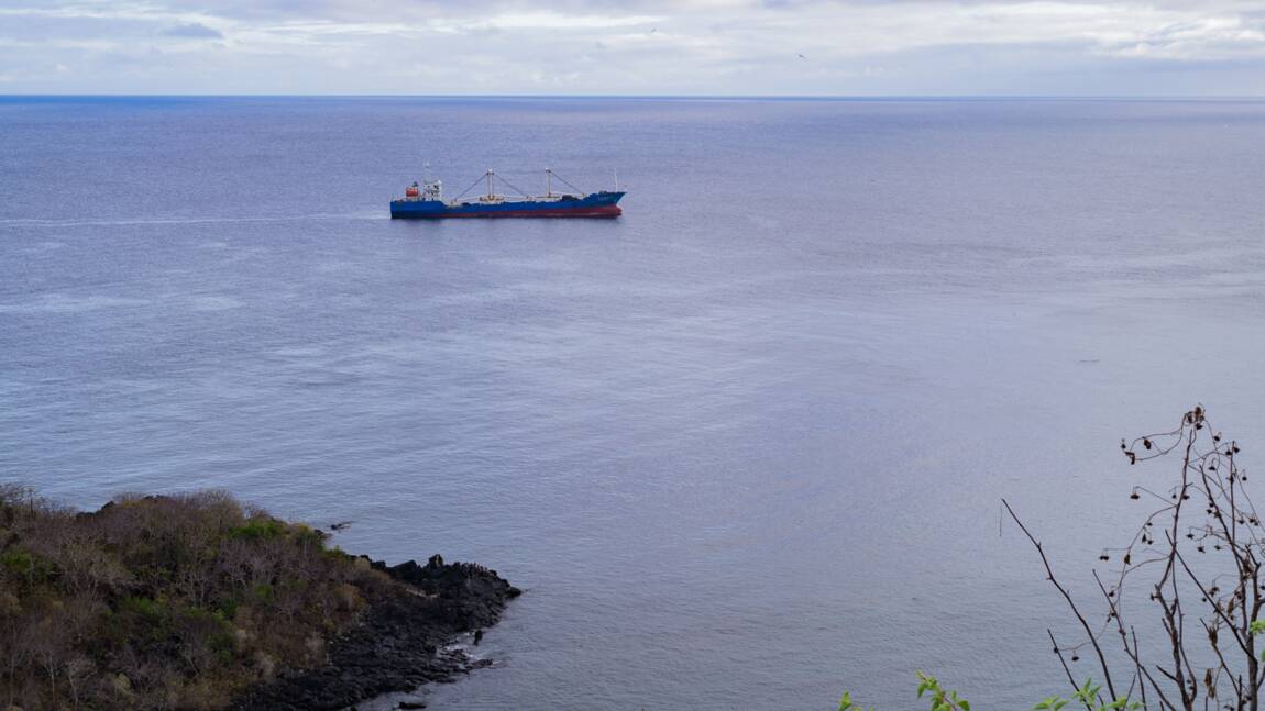 Pêche illégale dans les Galápagos : "C'est la première fois qu'on est confrontés à une telle situation"