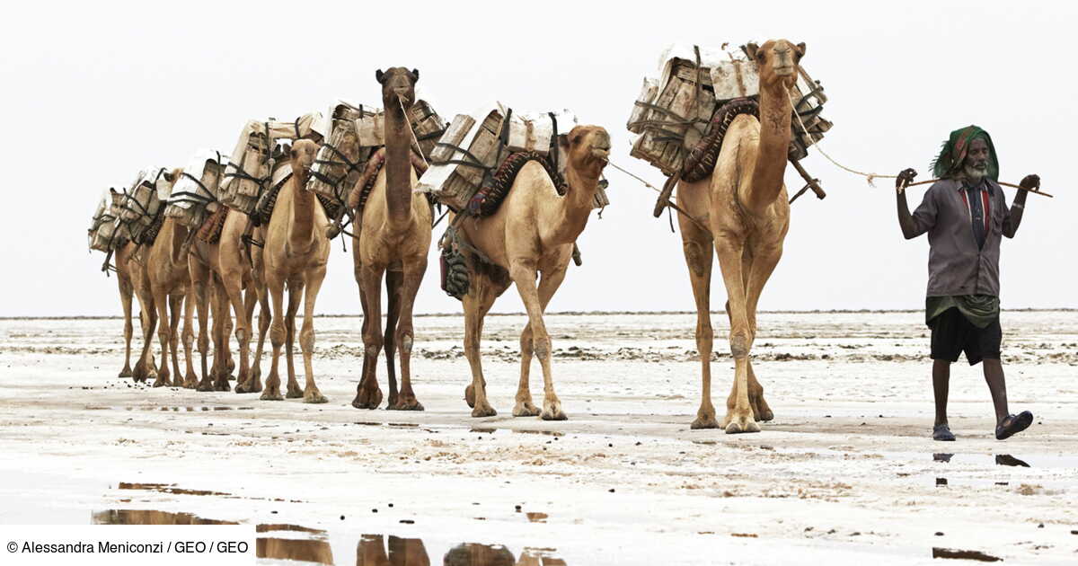 Les Afars D Ethiopie Dans L Enfer Du Danakil