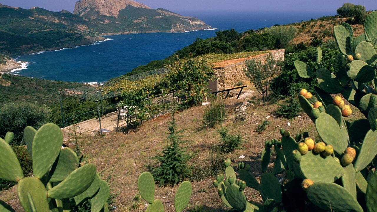 Les mystères de Corse : Occi, un village fantôme d'une envoûtante poésie