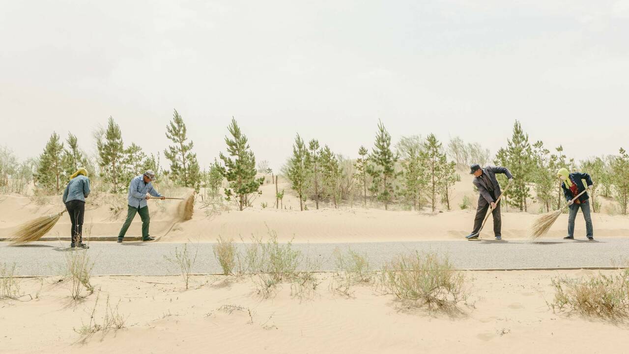 Chine : des milliards d’arbres pour contrer l’avancée du désert