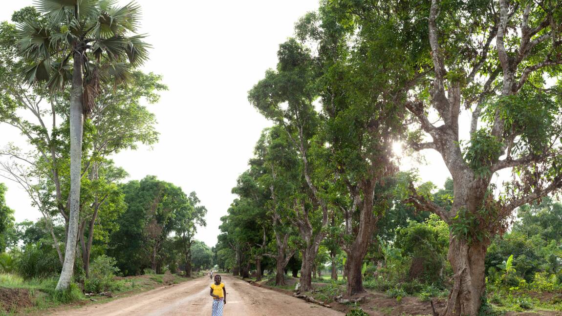 Niangara, en RDC : la magnifique Afrique de Titouan Lamazou