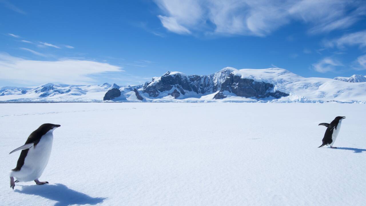 Luc Jacquet : "L’Antarctique est un vide qui vous incite à méditer"