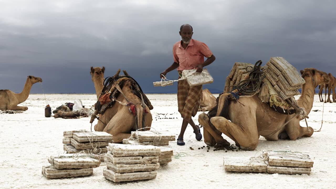 PHOTOS - Ethiopie : dans les entrailles de la terre de sel