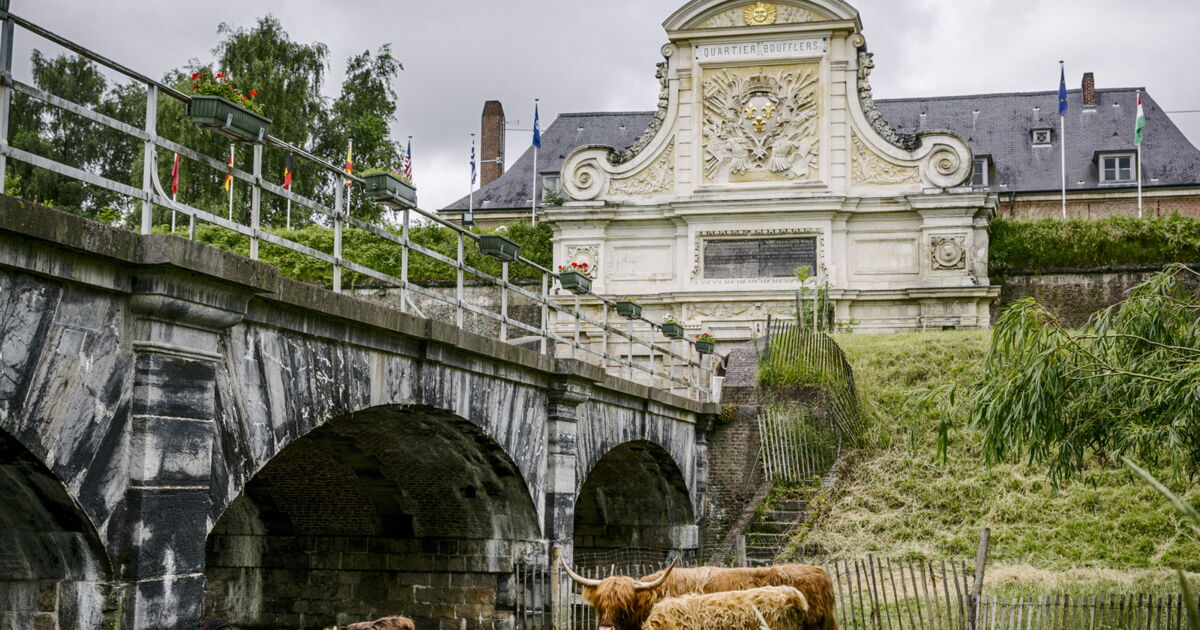 PHOTOS Le Nord et le PasdeCalais, terres d'histoire Geo.fr