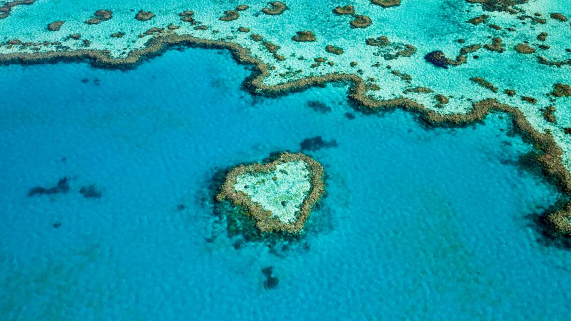 PHOTOS - Le top 10  des expériences à vivre sur la Grande Barrière de corail
