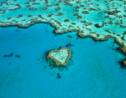PHOTOS - Le top 10  des expériences à vivre sur la Grande Barrière de corail
