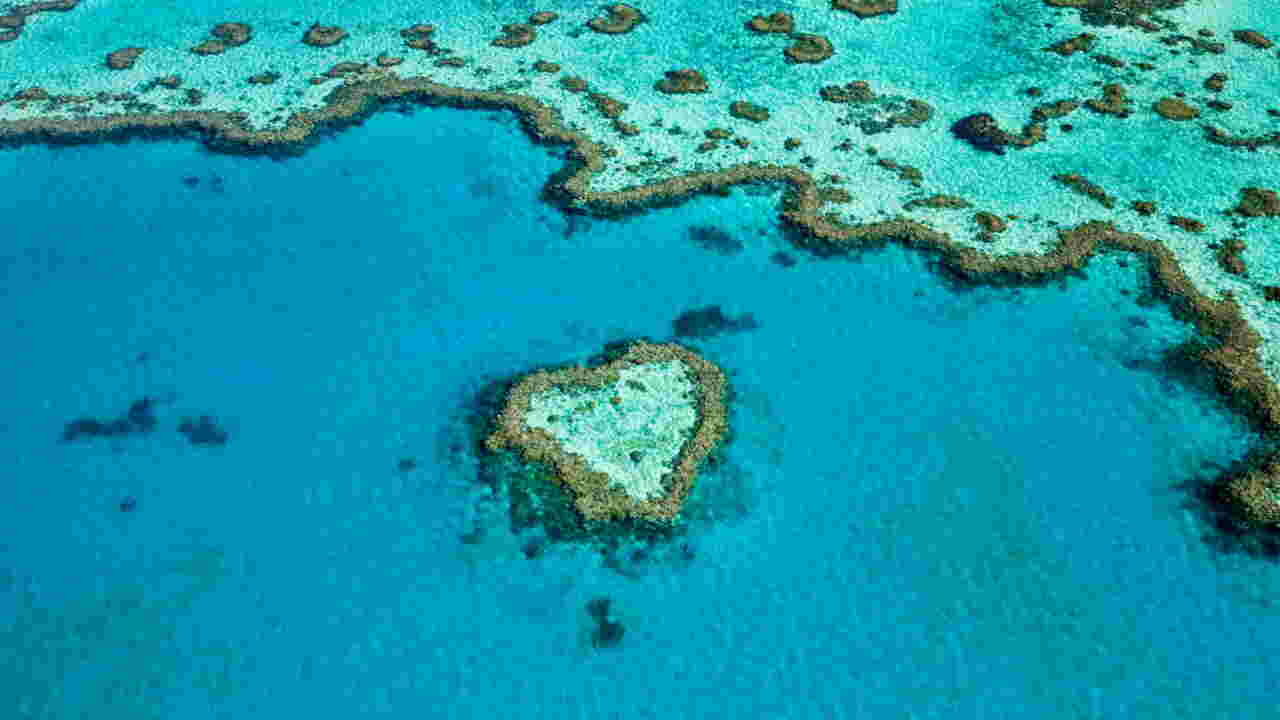 Photos Le Top 10 Des Experiences A Vivre Sur La Grande Barriere De Corail Geo Fr