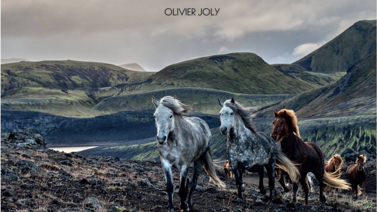 Islande : le réttir, spectaculaire transhumance d'automne
