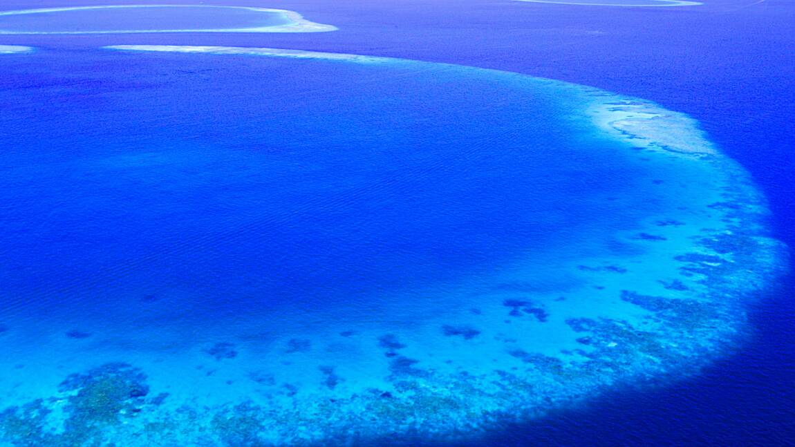 Quiz voyage : Que savez-vous de la Grande Barrière de corail ?