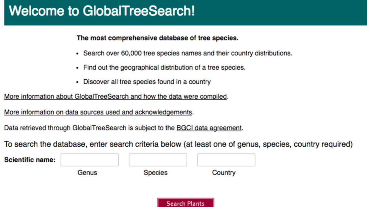 Plus de 60 000 espèces d'arbres recensées dans le monde
