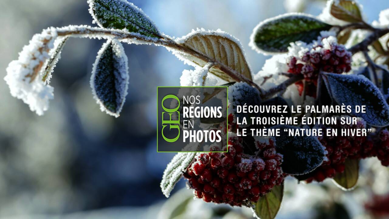 Concours "Nos régions en photos" : les gagnants de l'édition n°3 "Nature en hiver"
