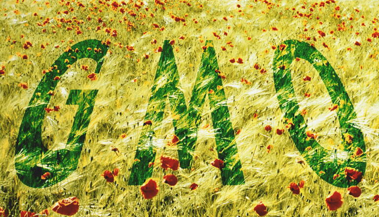 Des Produits Bio Aux Ogm Geo Fr