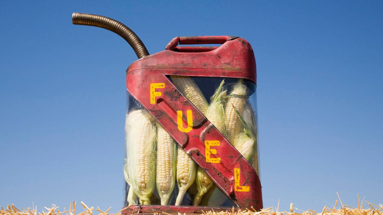 Des biocarburants pas si bio