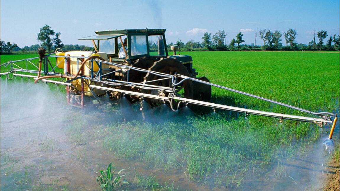 L’interdiction des pesticides : un handicap pour les agriculteurs ?