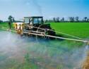 L’interdiction des pesticides : un handicap pour les agriculteurs ?