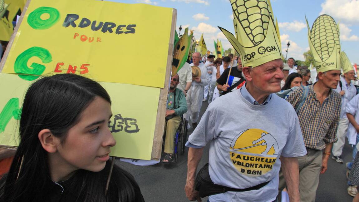 OGM : polémique sur les effets du Monsanto